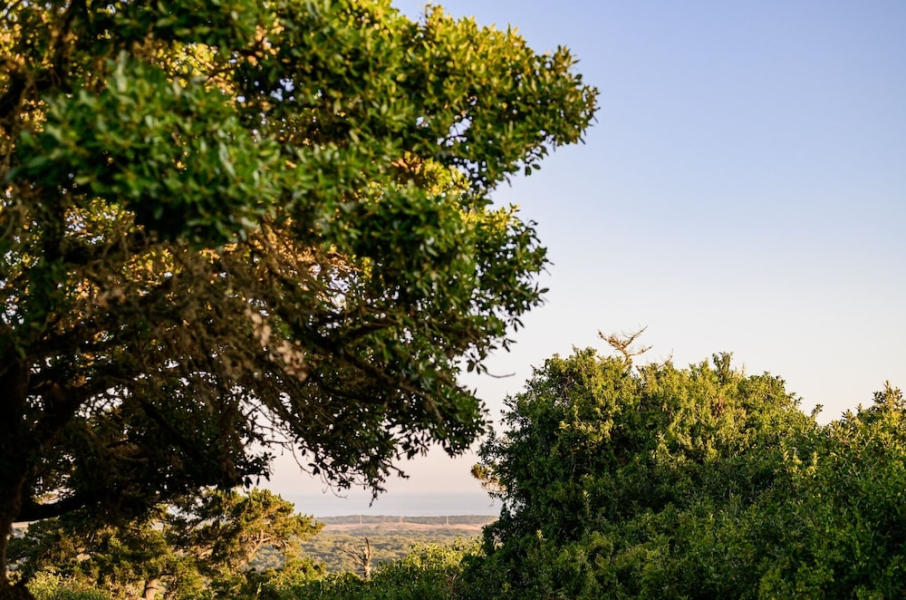 302 On Old Seaview Road - Stargazer Cottage