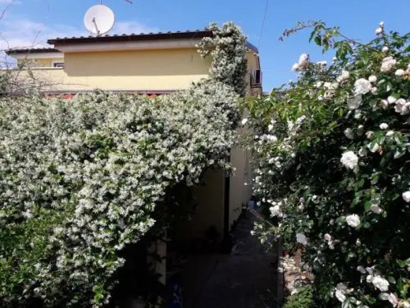 Apartments Ana i Samanta