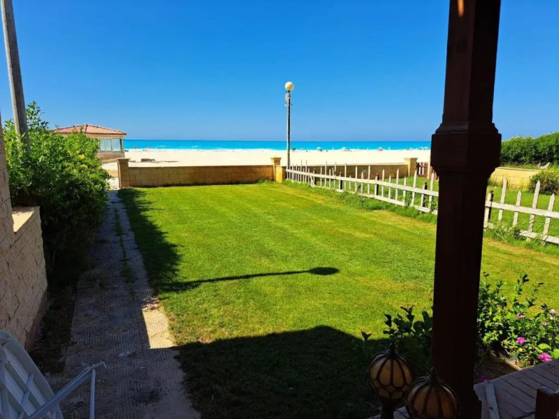 الاسكندرية