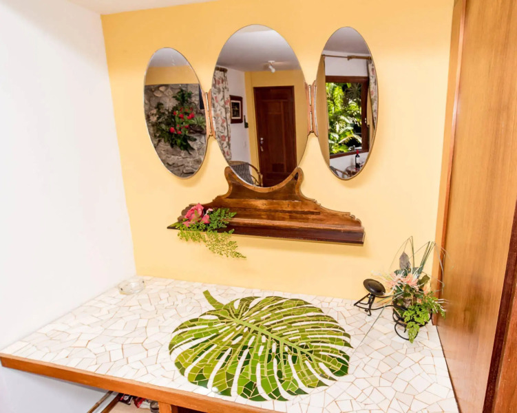 Bromelia Sabia & Cia