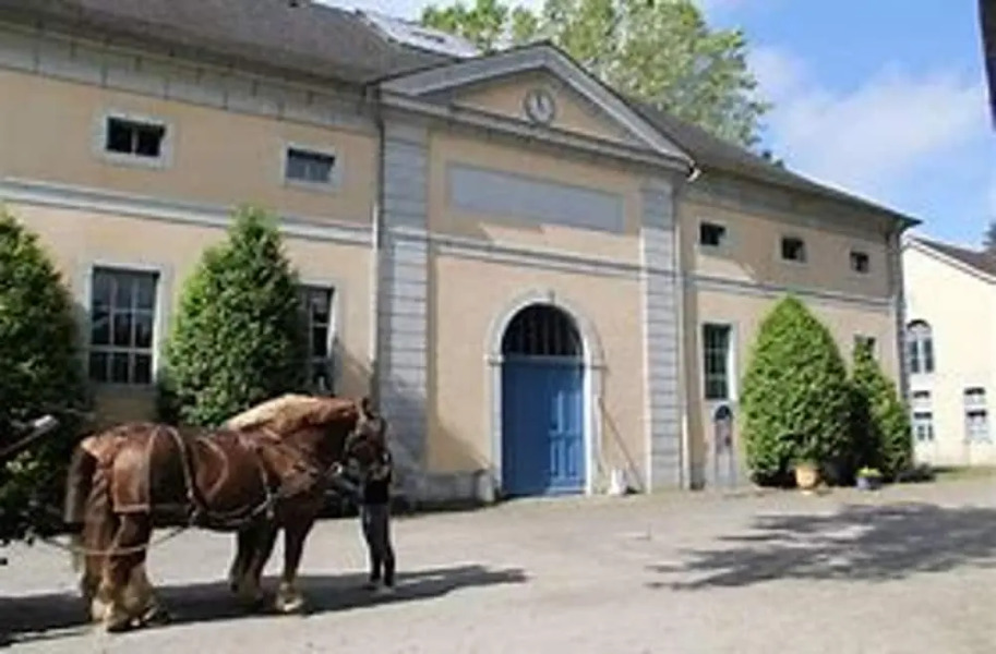 Apartment With one Bedroom in Tarbes, With Enclosed Garden and Wifi