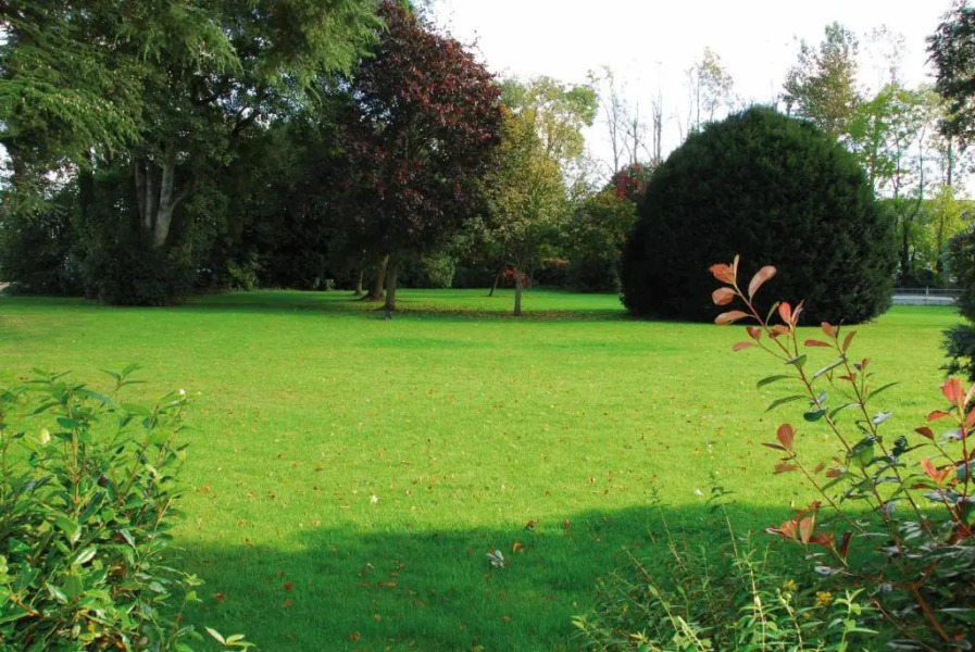 Roganstown Hotel & Country Club