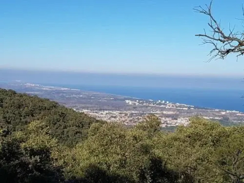 Le Jardin de l'Olivier