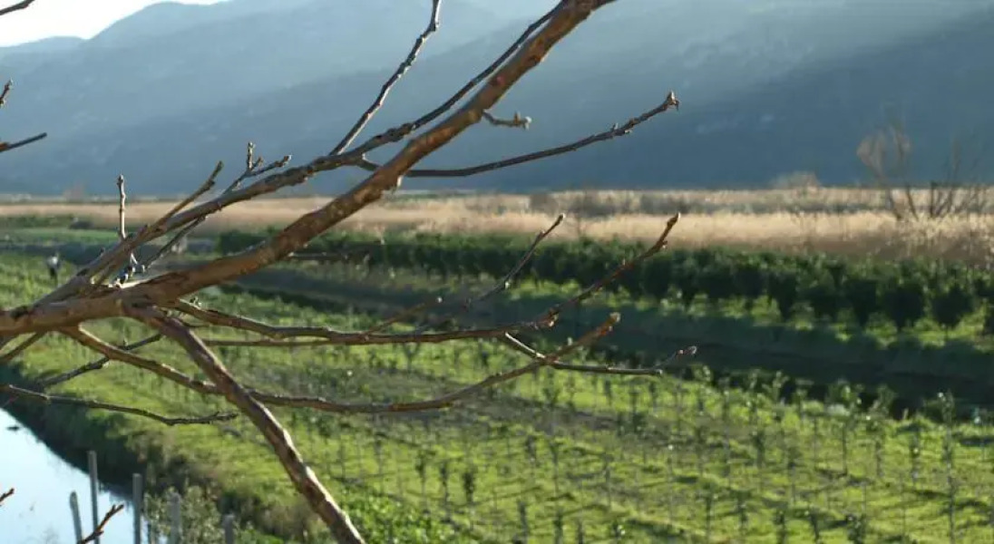 Apartments Home Book