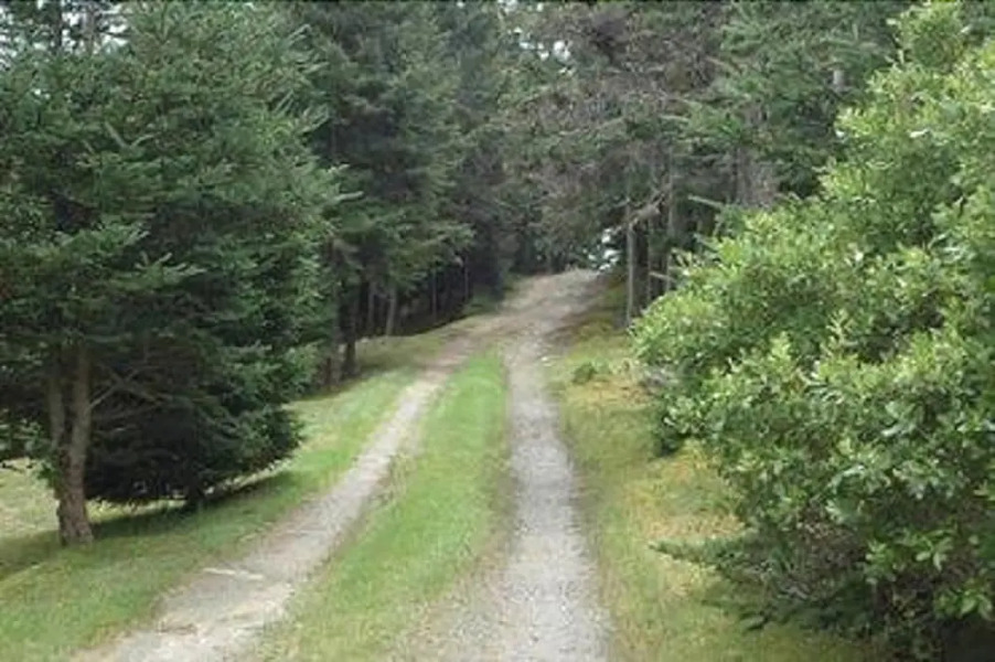 Frenchboro Point House - Four Bedroom Home