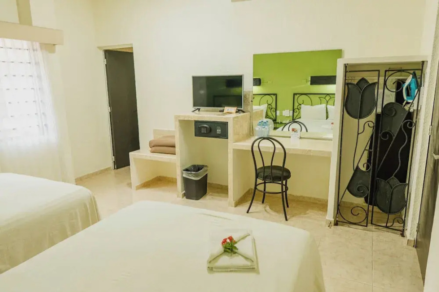 Maya Tulipanes Express