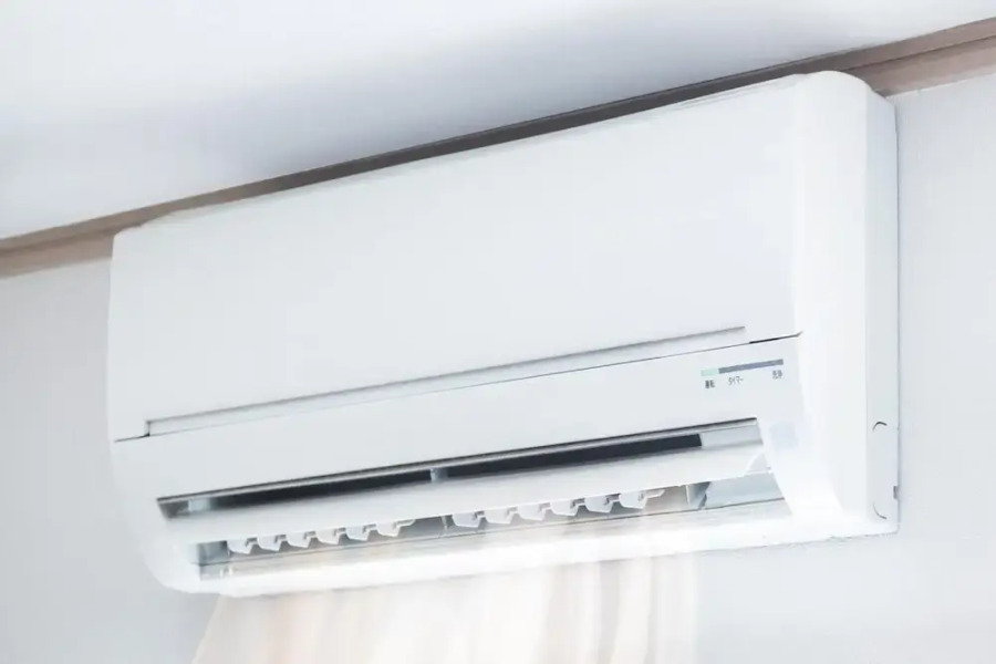 Hedonistic Vineyard Estate