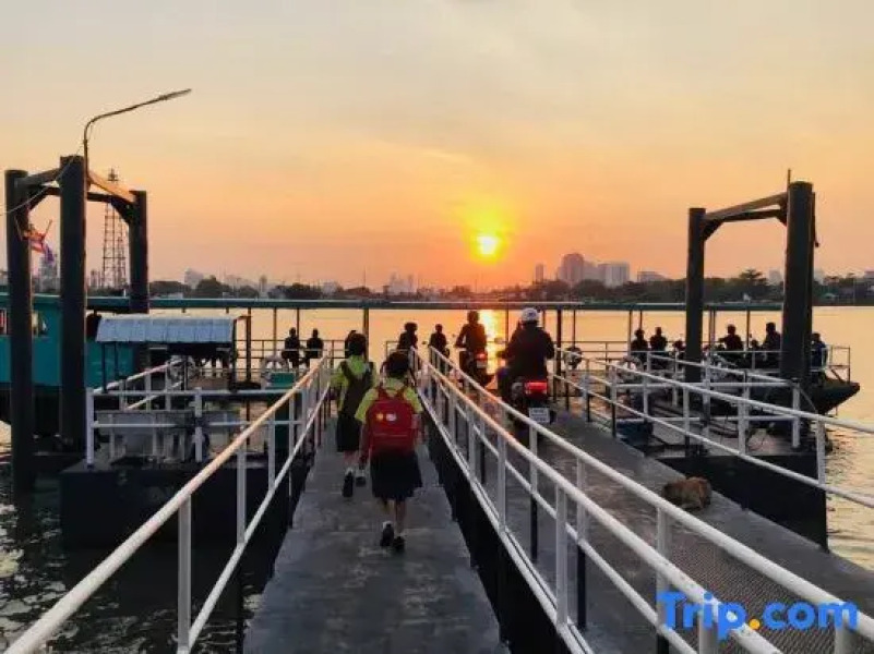 The Bird Nest Homestay& Coffee Shop