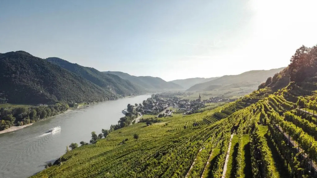 Winzerhof & Gästehaus Bernhard