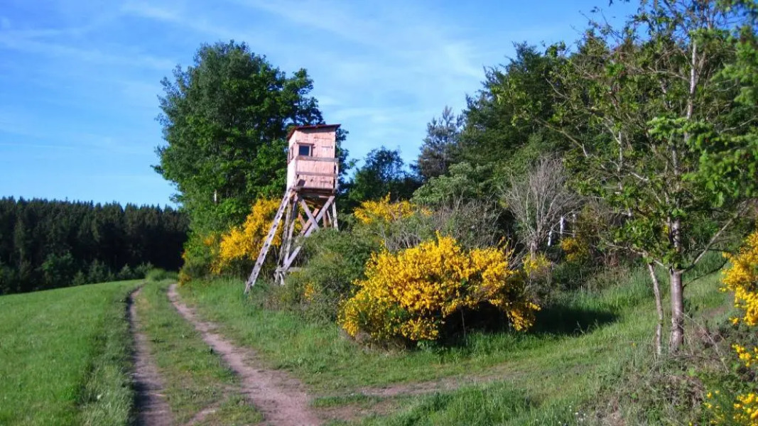 Gästezimmer Waldblick