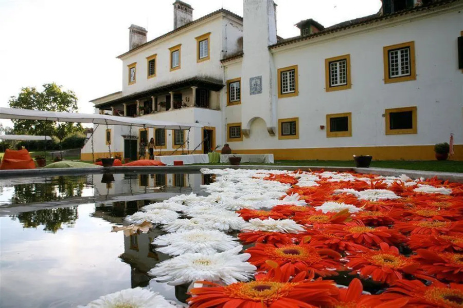 Herdade da Agolada de Cima