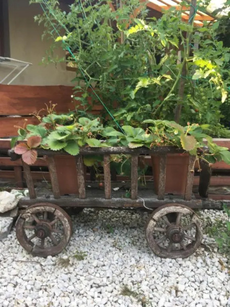 Balatonkenesei Nádfedeles Lovas Vendégház