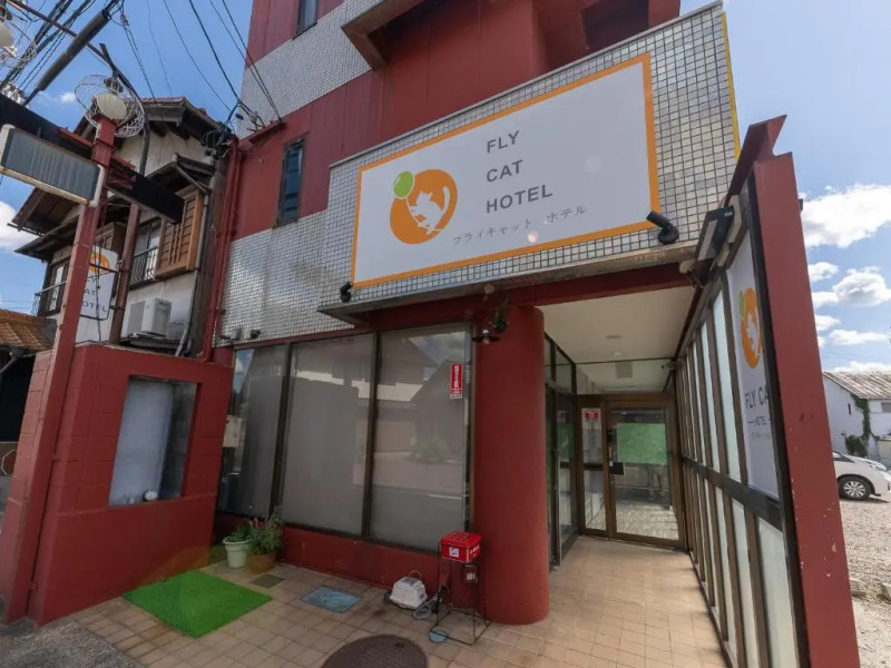 Flycat Hotel