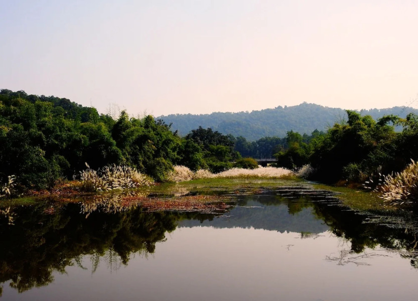 The Tiger Valley Resort