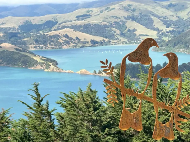 Kūkupa Matairangi at Akaroa Lavender