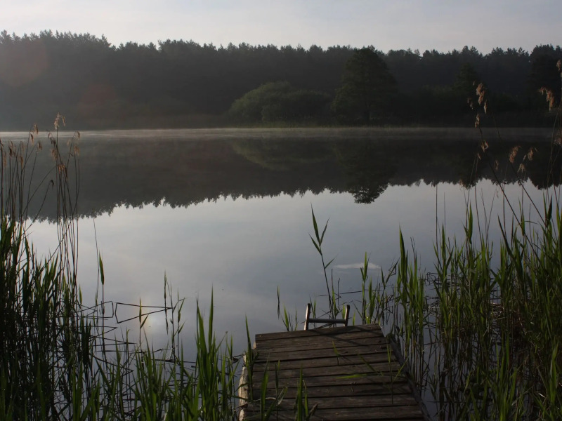 Terraced House, Lohmen