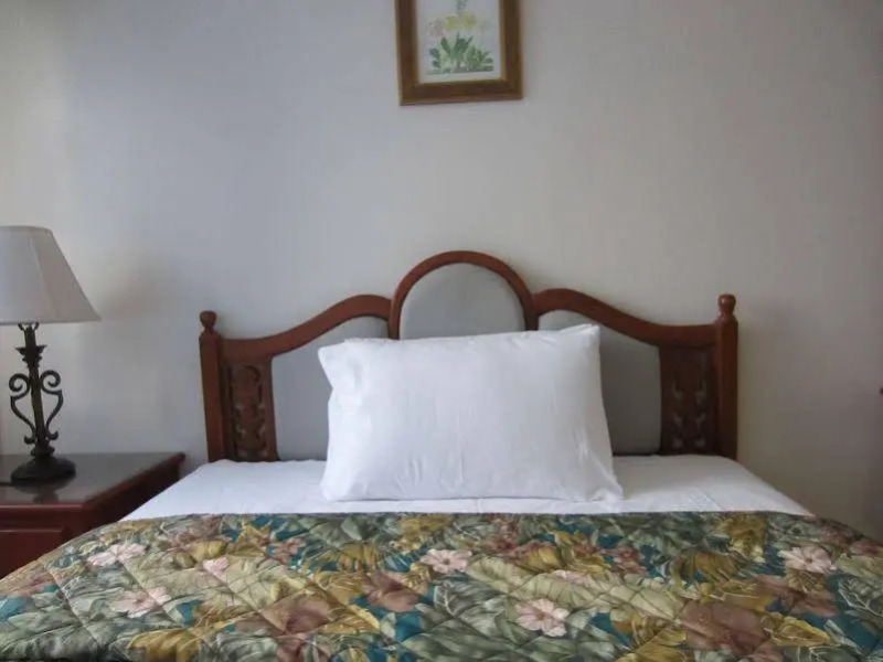 Comfort Hotel and Apartment