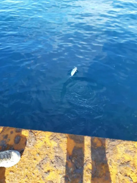 Casa a vulcano piano isole Eolie