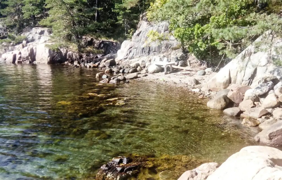 The Woodpecker Cottage Tree