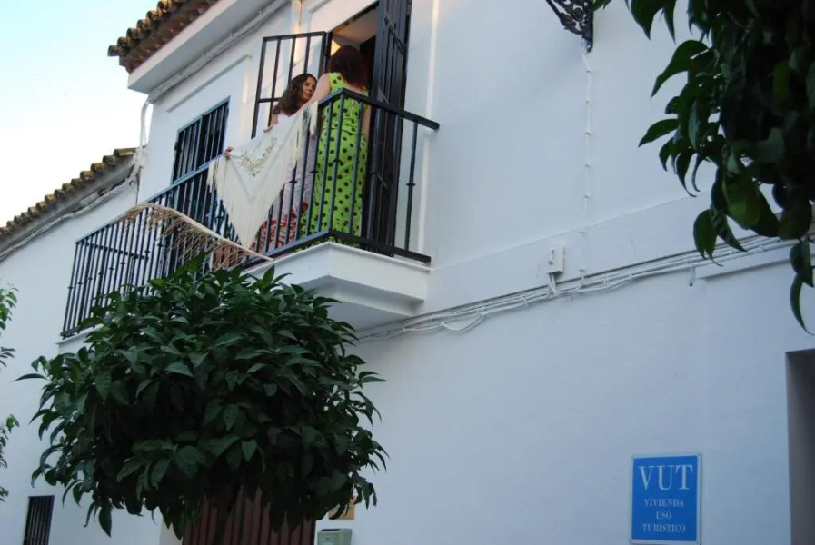 El patio del limonero