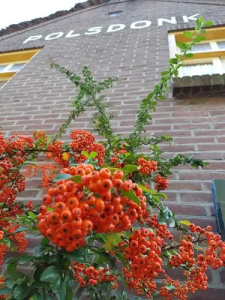 Appartement Hoeve Polsdonk