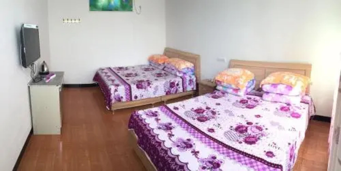 Shapotou Tongjia Framstay