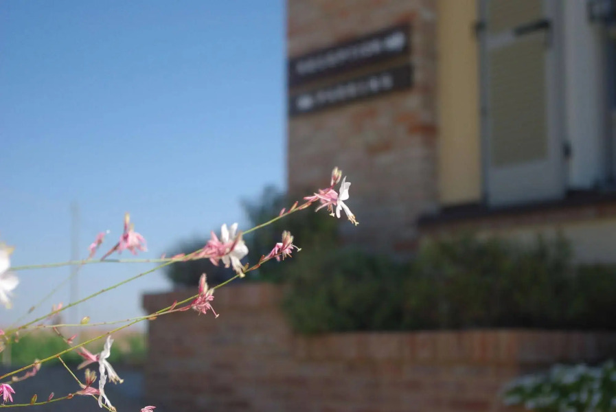 NaturalMente Wine Resort