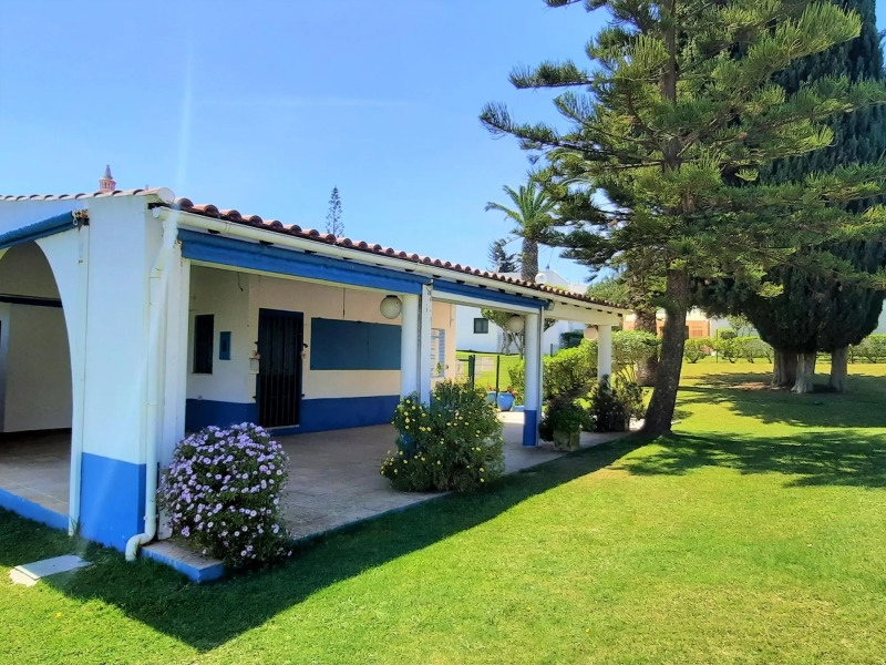 ARMAÇÃO DE PÊRA BRIGHTNESS 2 WITH POOL by HOMING