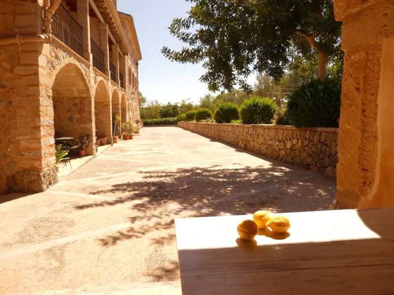 Finca Can Estades