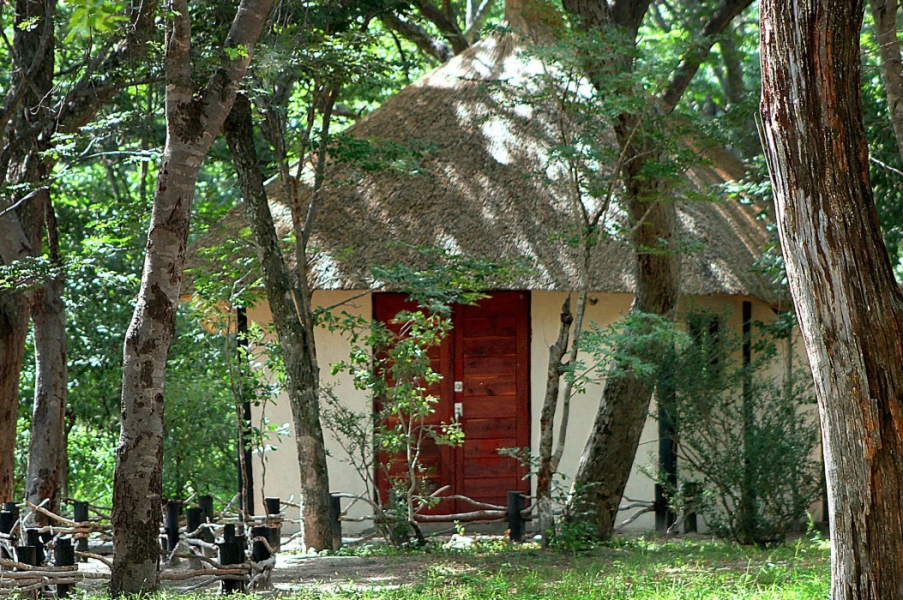 Gwango Elephant Lodge