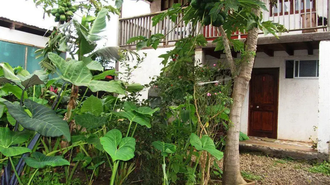 Rapa Nui Native Hostel