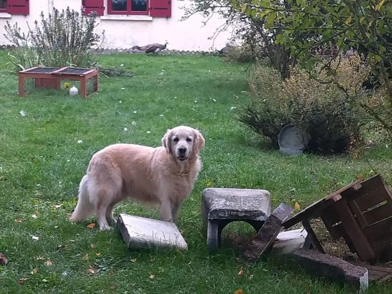 Gîte de La Basse Roche