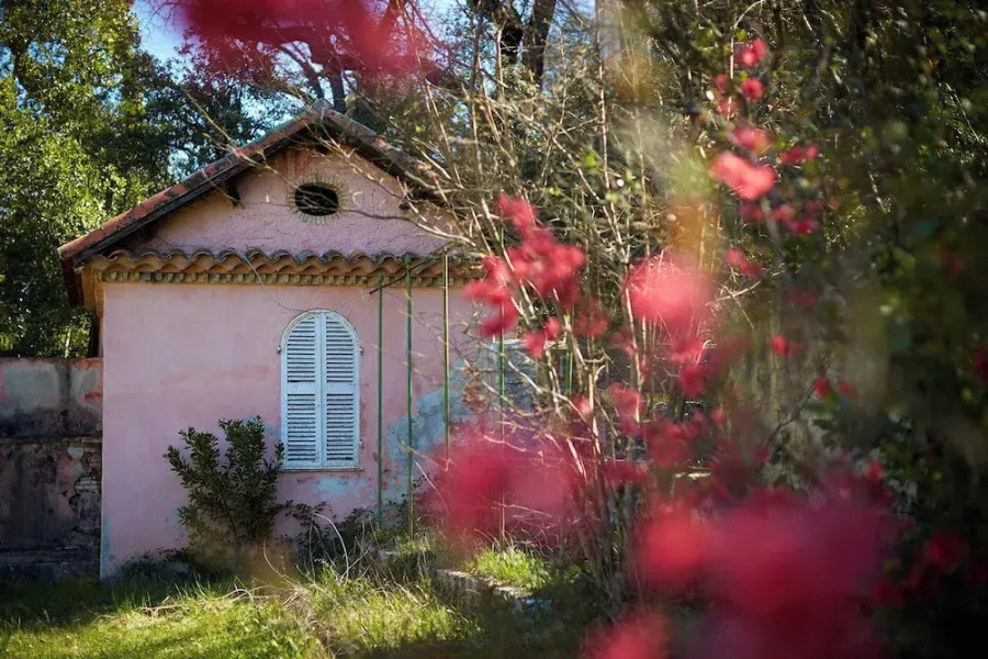 Ferme Saint-Georges en Provence