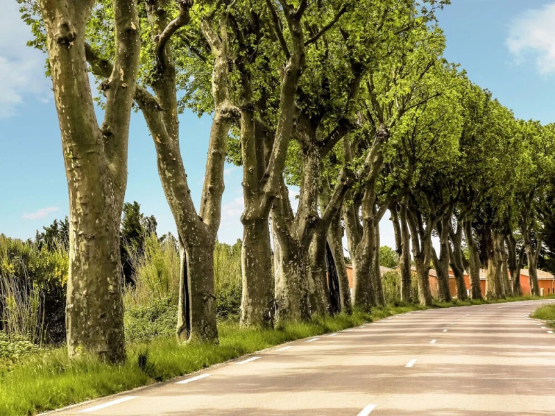 Spacious Villa With Private Swimming Pool, Fabulous View, Near Côte D'azur