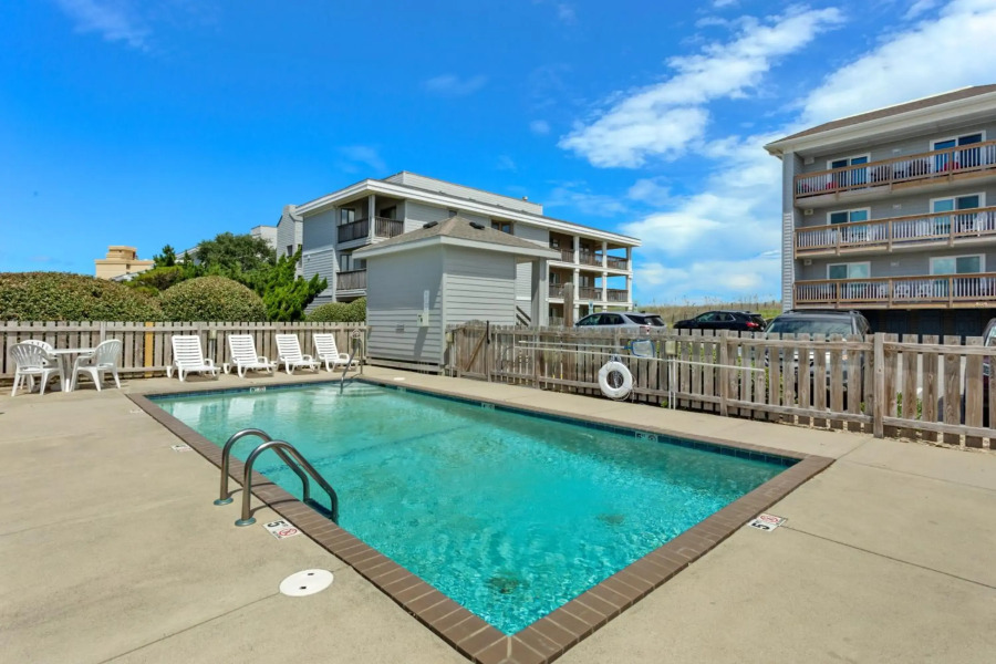 YC301 - Life's Porpoise