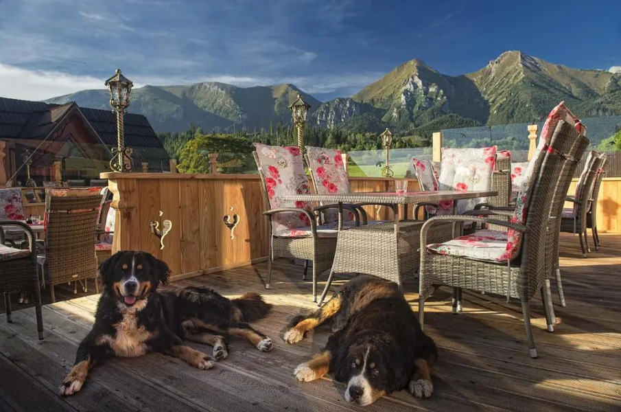 Wellness Penzión Strachan