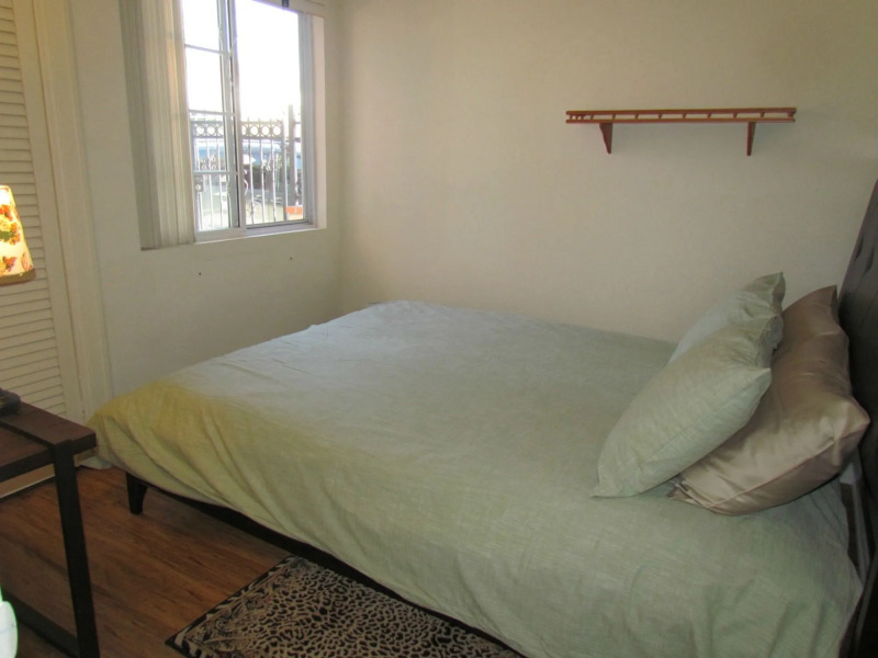 Peach Blossom Across From the Beach