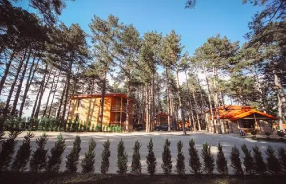 Resort 5 Stars Telavi