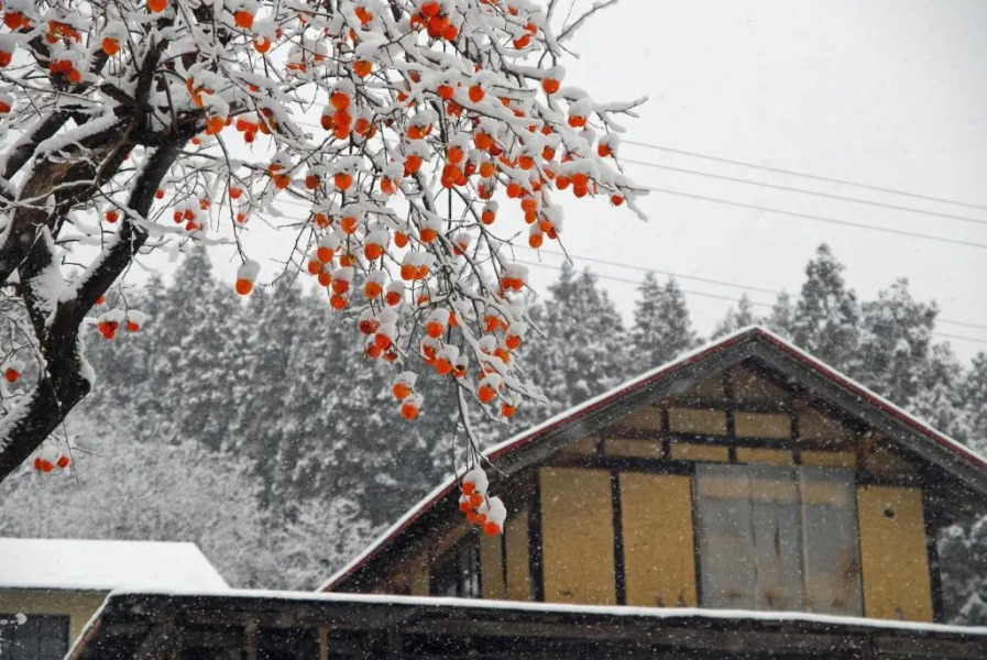 Hiraizumi Hot Spring Ryokan Soba'an Shizukatei
