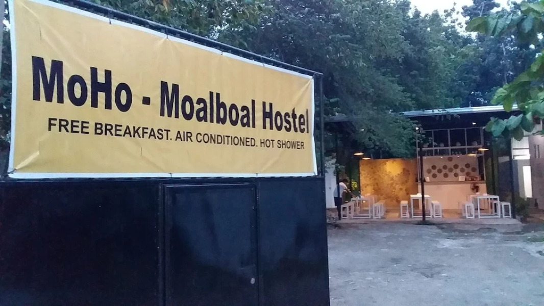 MoHo Moalboal Hostel