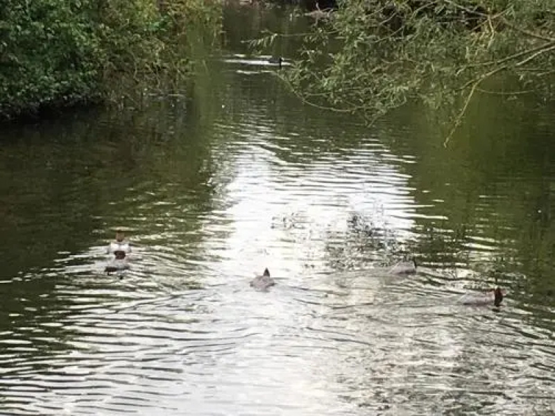 One Castle Street B&B