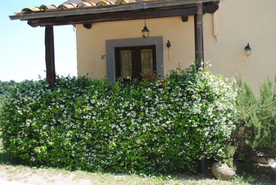 Agriturismo Tenuta Serpepe