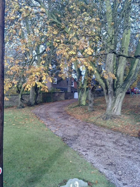 Prospect Guest House