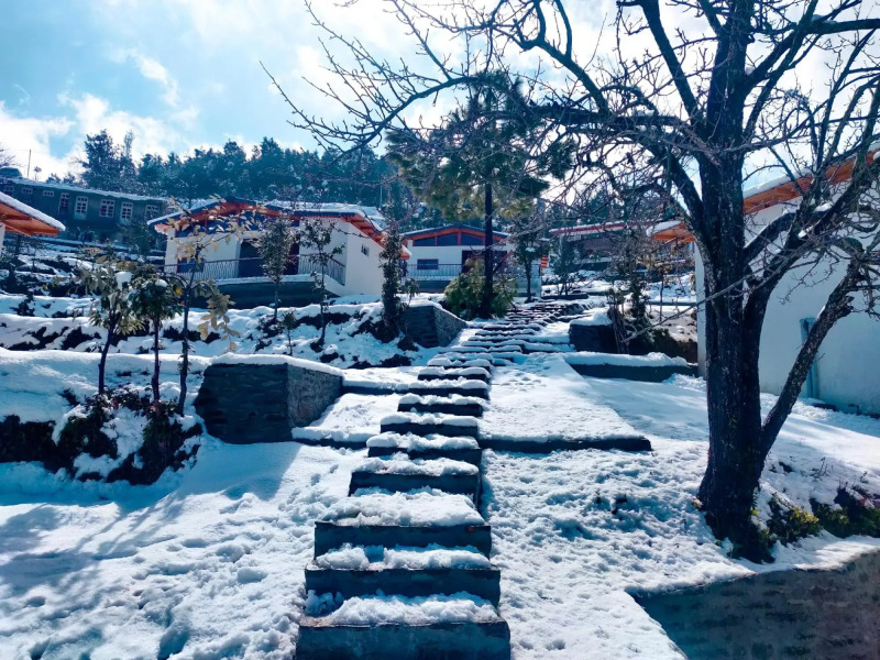 Shivoham Himalayan Resort