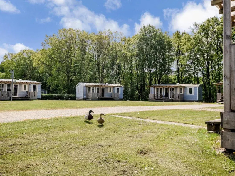 6 Person Holiday Park Home in Jelling