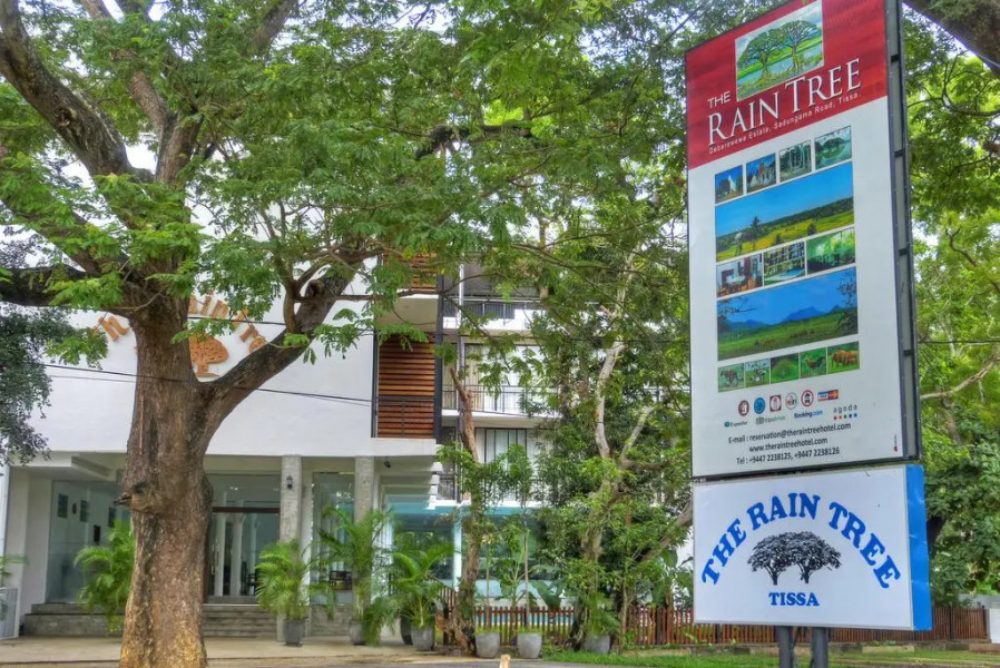 The Rain Tree Hotel