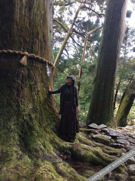 Sansaro Cafe & Guest House