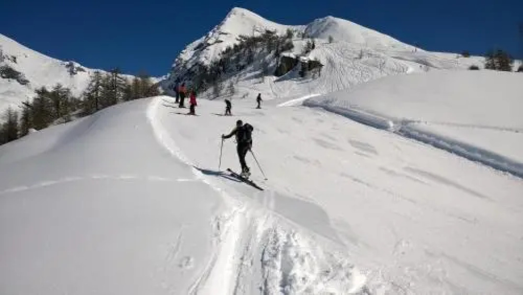 Le Coin des Mélèzes