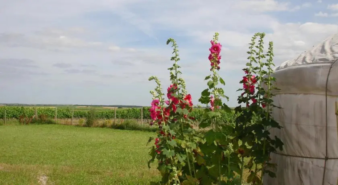 Chambre dhôtes Les Yourtes Charentaises