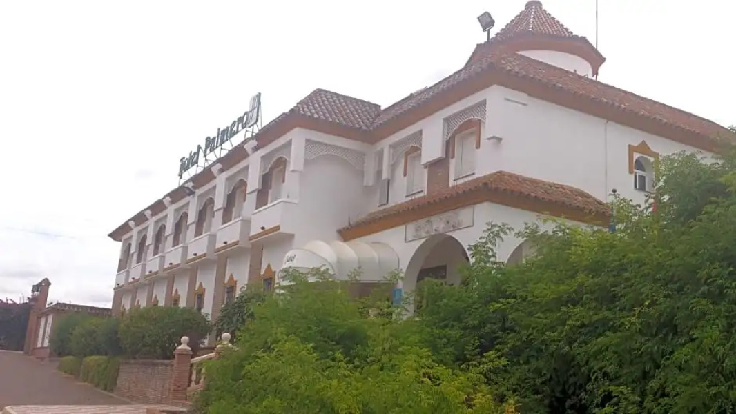 Hotel Palmero